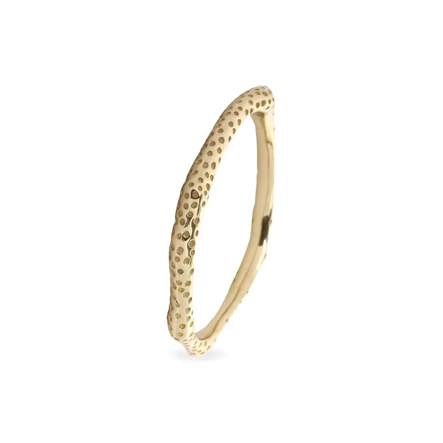 Coral Brass Bangle - Dinosaur Designs